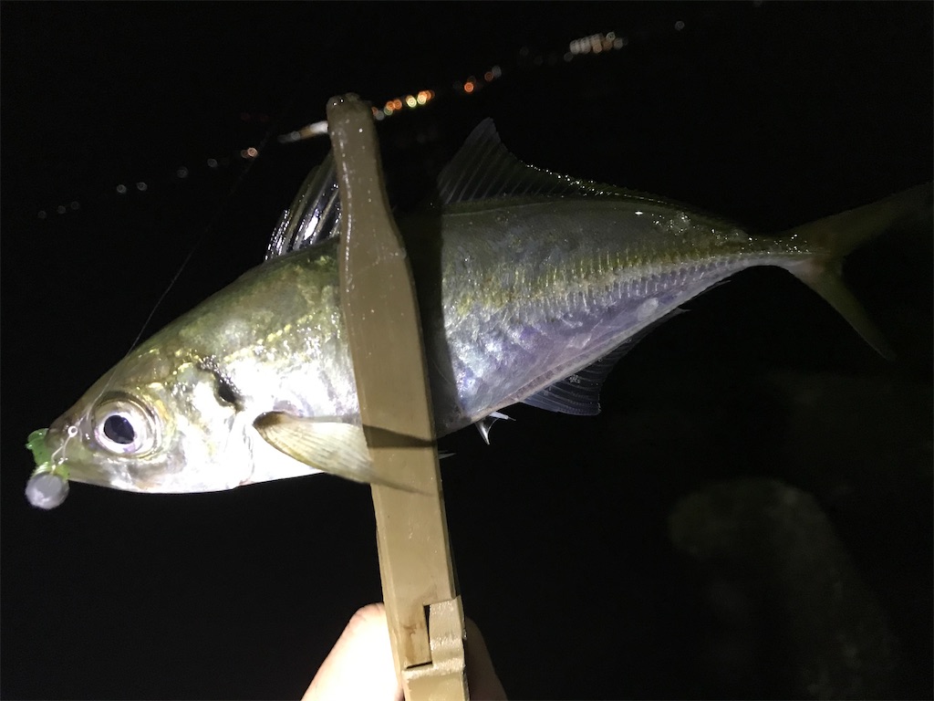 f:id:esojima3:20200926094137j:plain