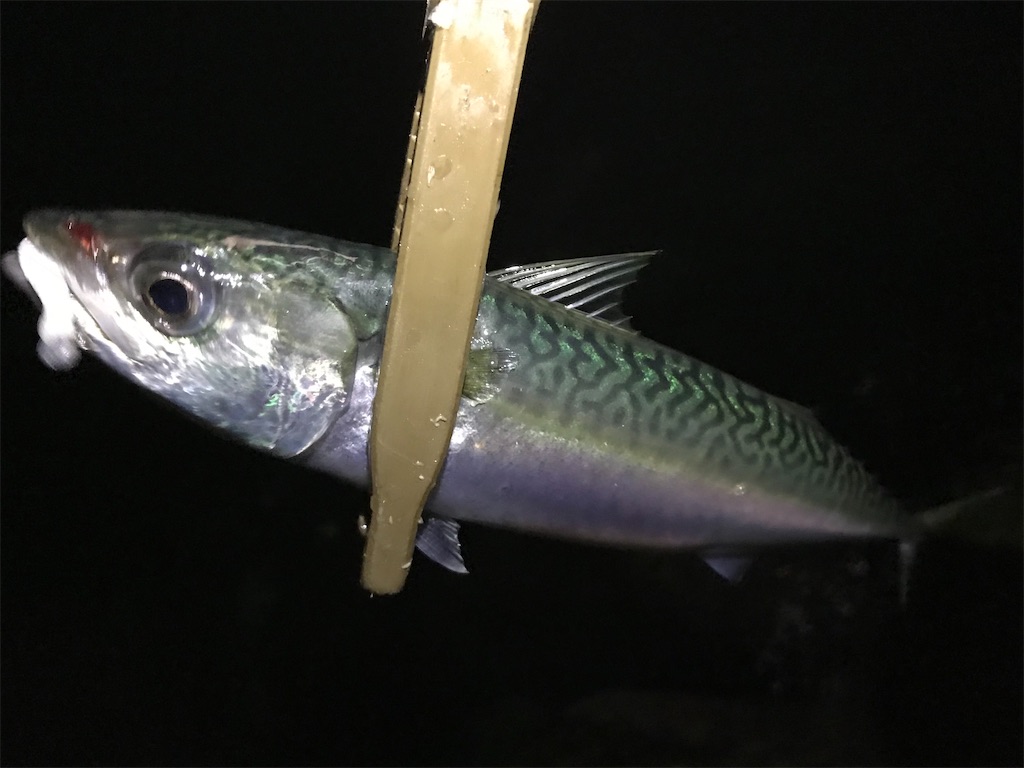 f:id:esojima3:20200927013012j:plain