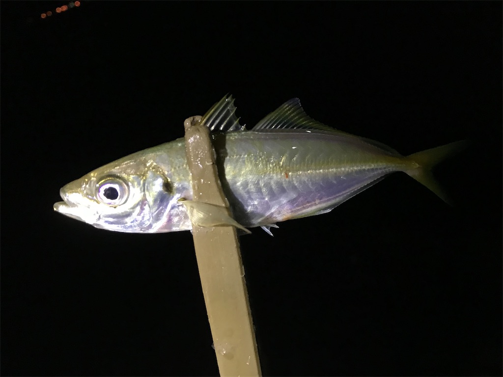 f:id:esojima3:20200927080220j:plain