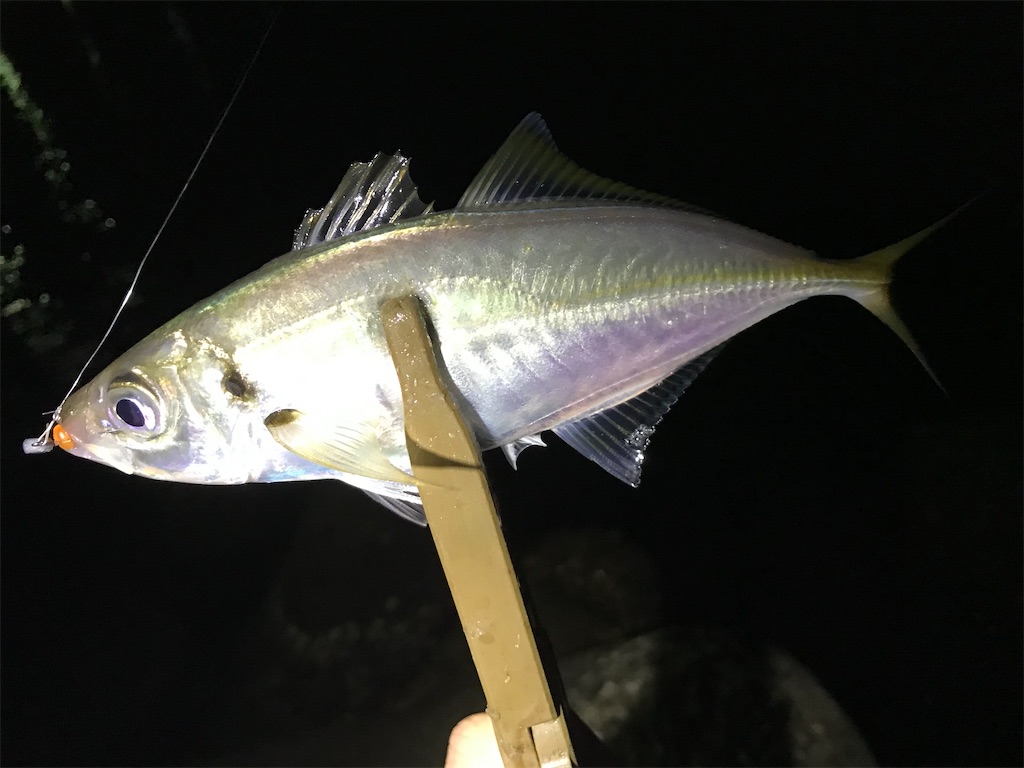 f:id:esojima3:20200927080230j:plain