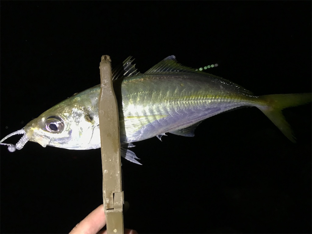 f:id:esojima3:20200928234755j:plain