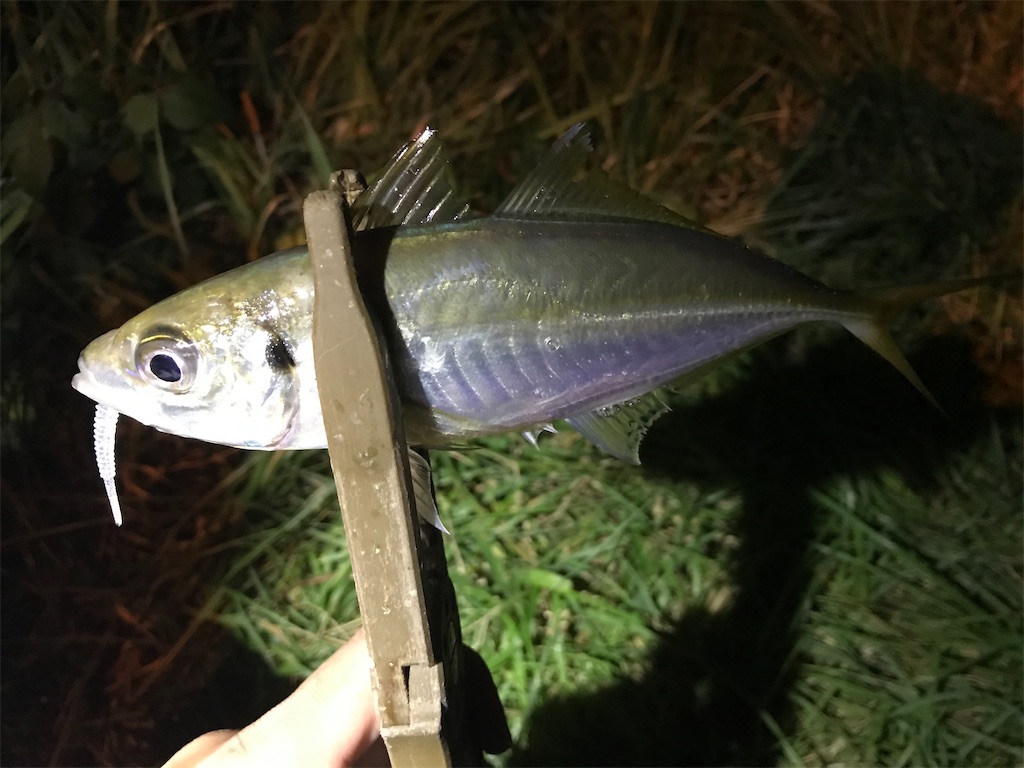 f:id:esojima3:20200929001421j:plain