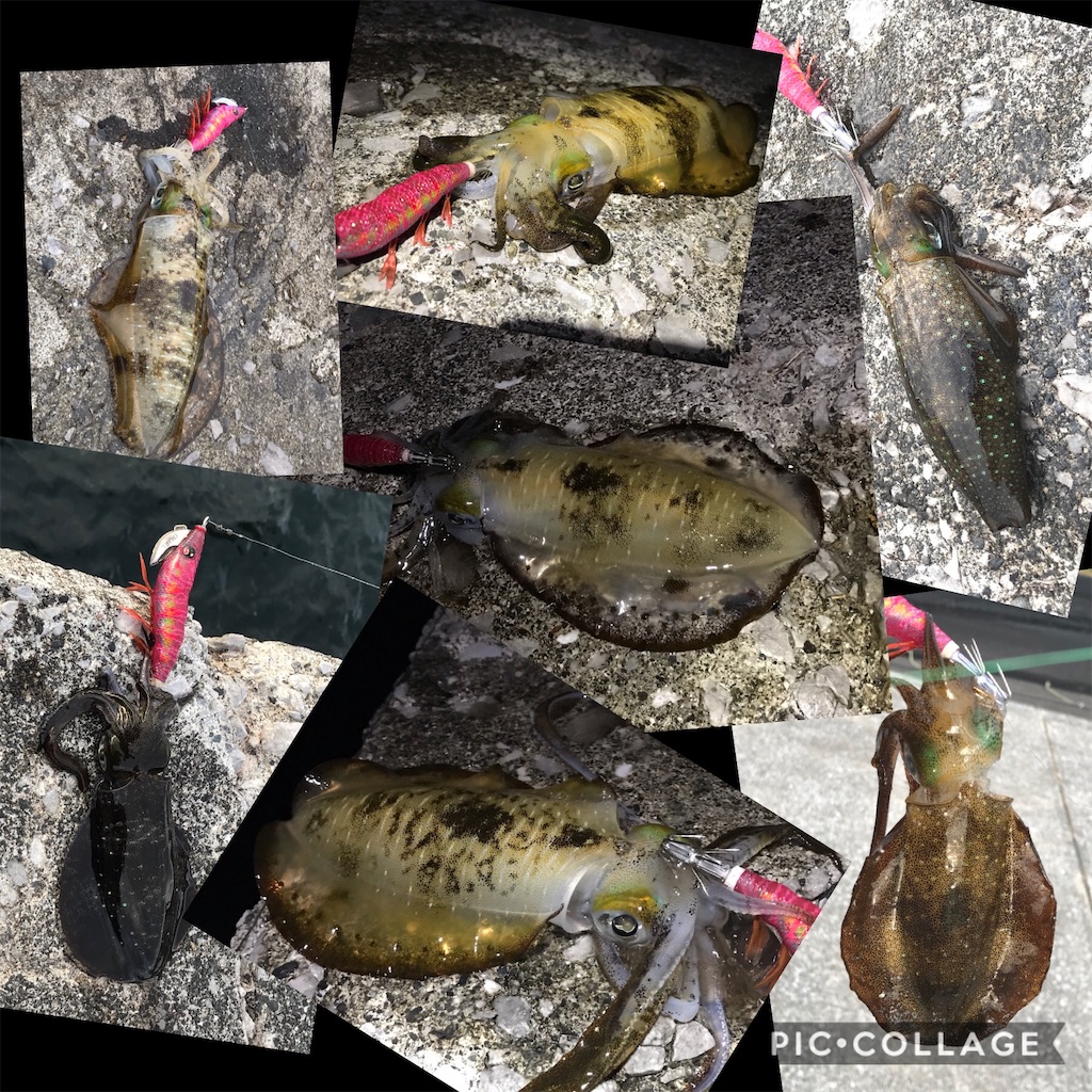 f:id:esojima3:20200929205825j:plain