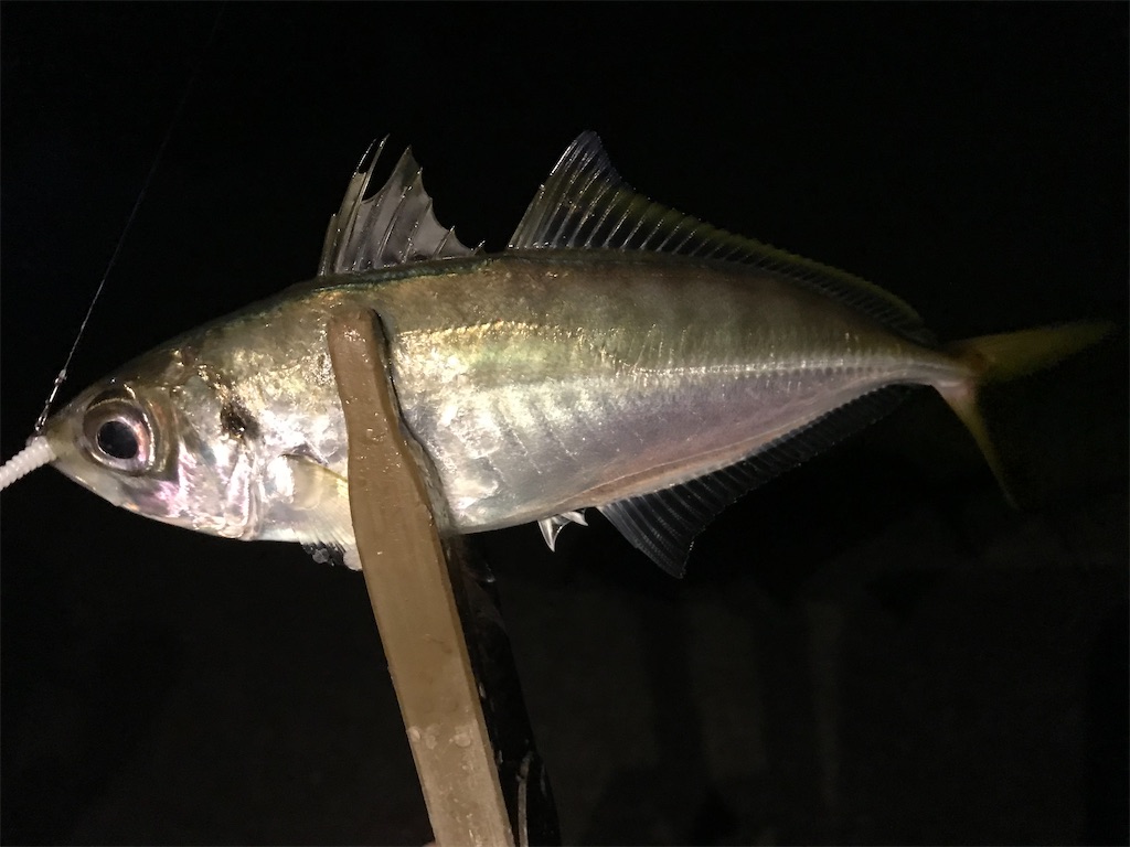 f:id:esojima3:20201002233424j:plain