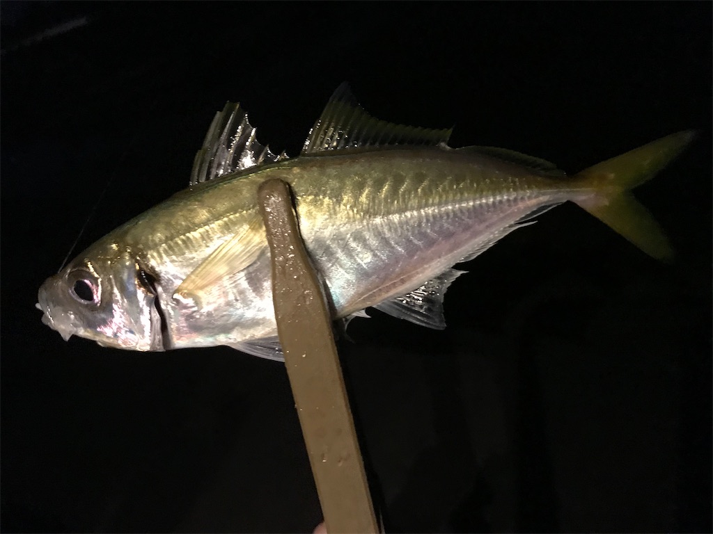 f:id:esojima3:20201002233604j:plain