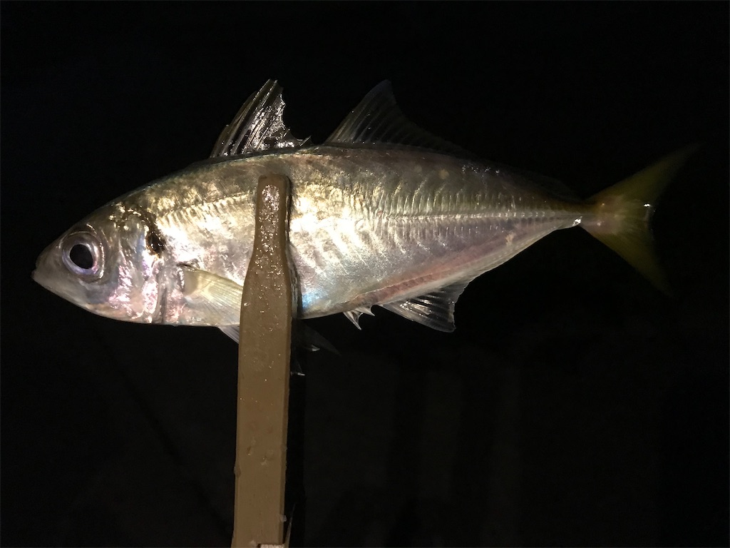 f:id:esojima3:20201002233607j:plain
