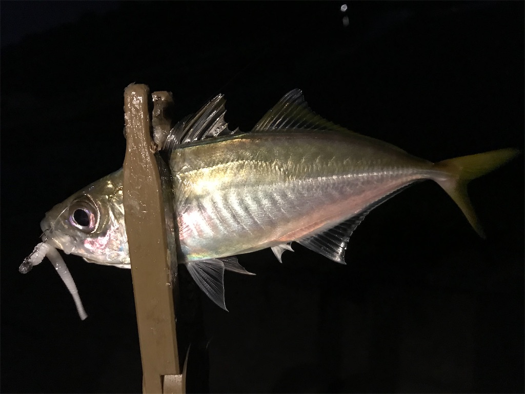 f:id:esojima3:20201002234126j:plain