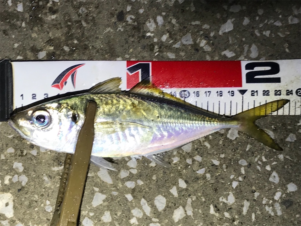 f:id:esojima3:20201002234513j:plain