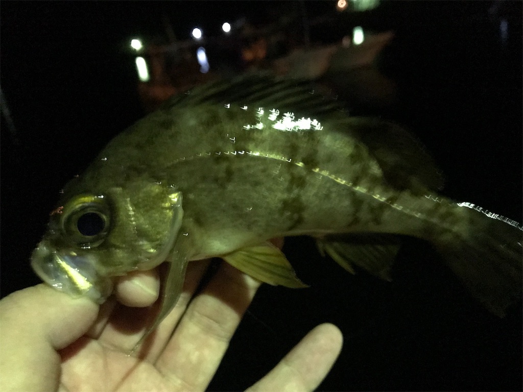 f:id:esojima3:20201018175127j:plain