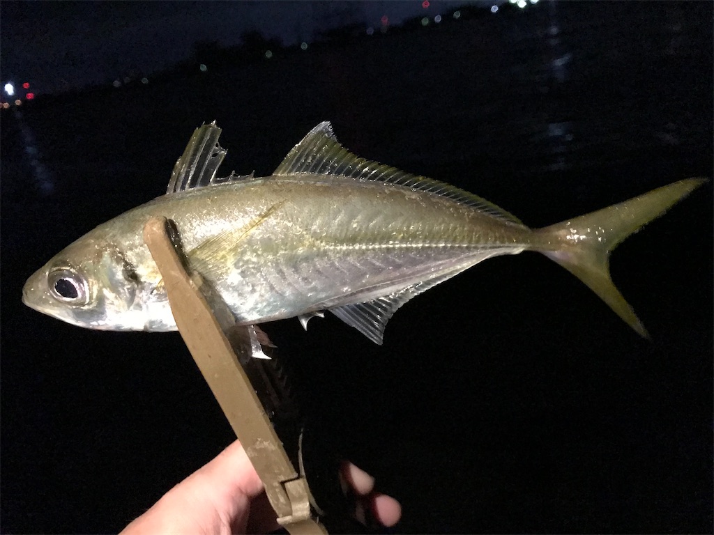 f:id:esojima3:20201019082008j:plain