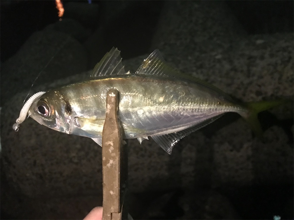 f:id:esojima3:20201025102805j:plain
