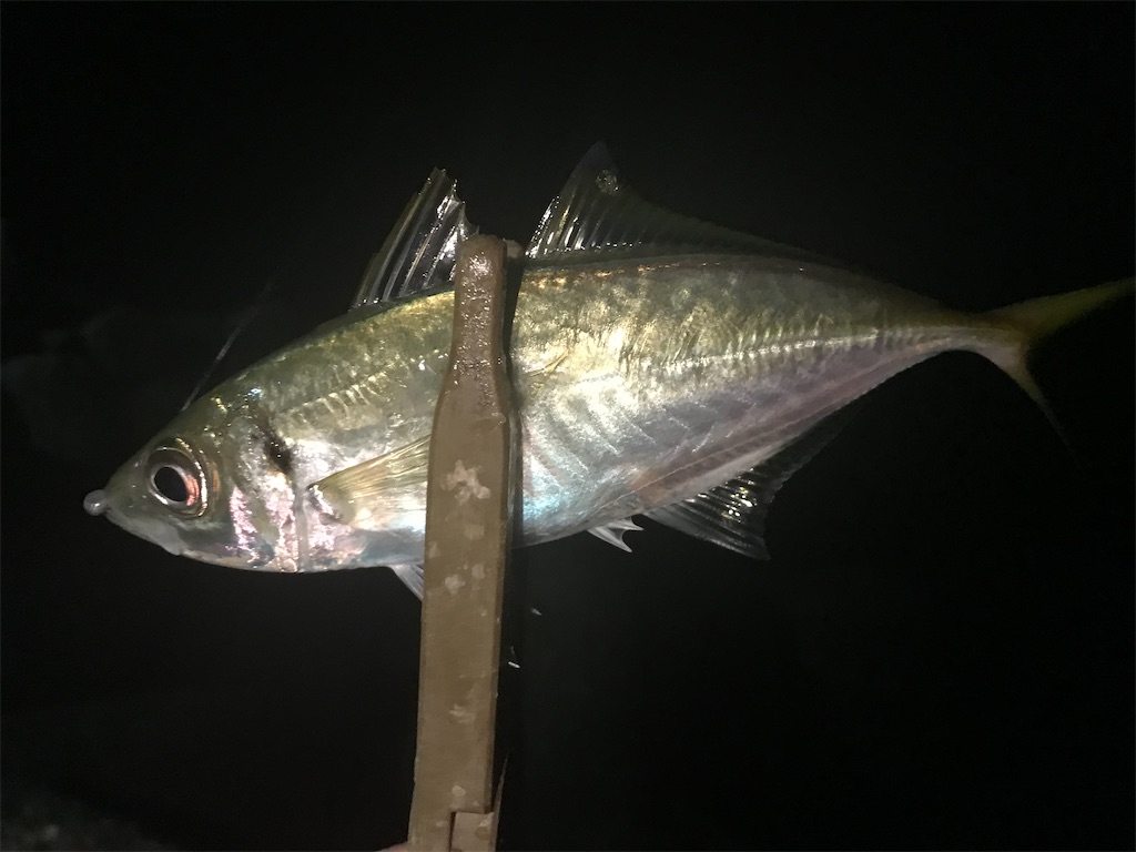 f:id:esojima3:20201025102808j:plain
