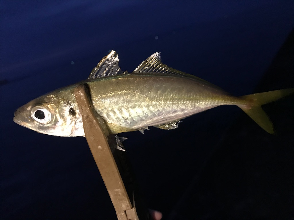 f:id:esojima3:20201028210249j:plain