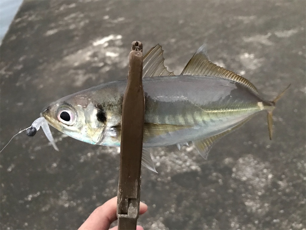 f:id:esojima3:20201028210305j:plain