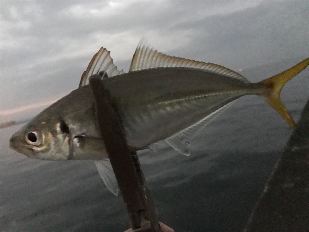 f:id:esojima3:20201028210345j:plain