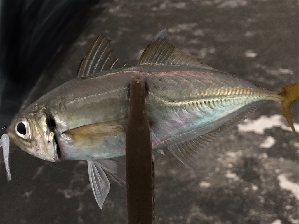 f:id:esojima3:20201028210836j:plain