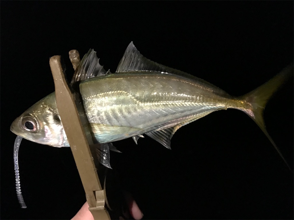 f:id:esojima3:20201116225725j:plain
