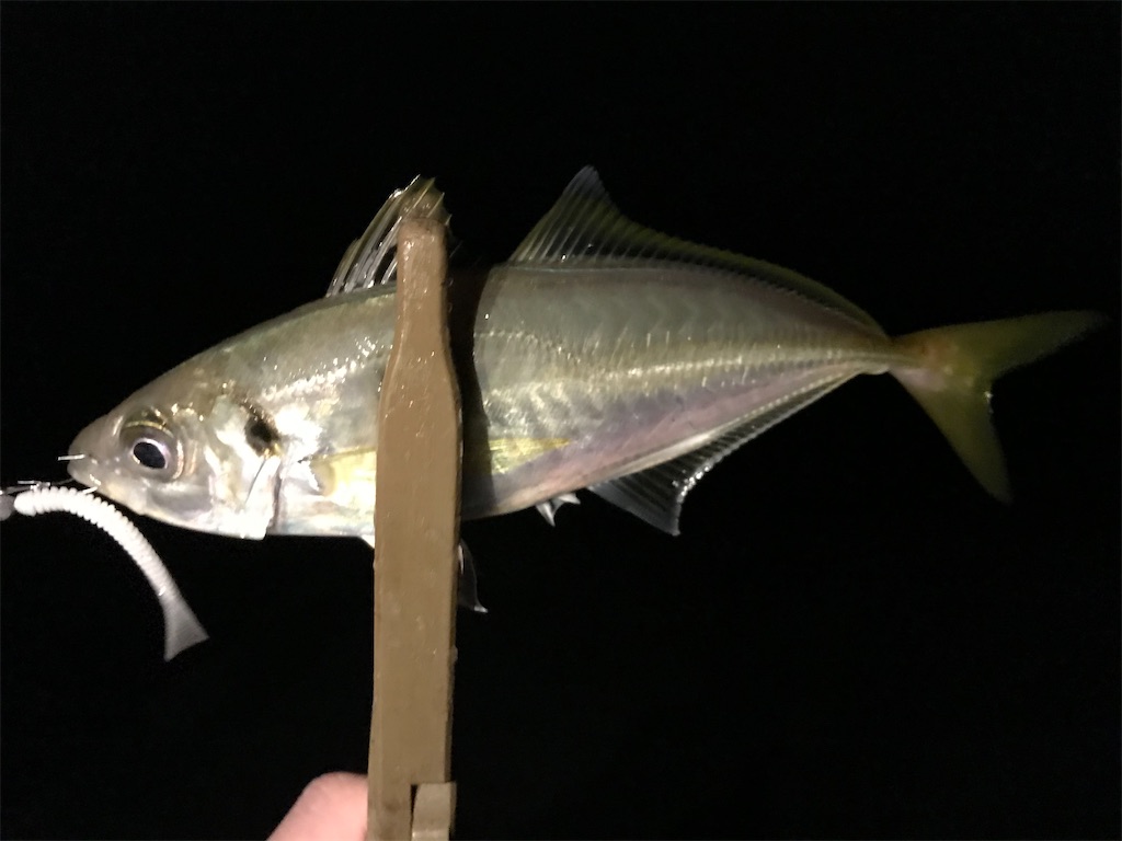 f:id:esojima3:20201116225743j:plain