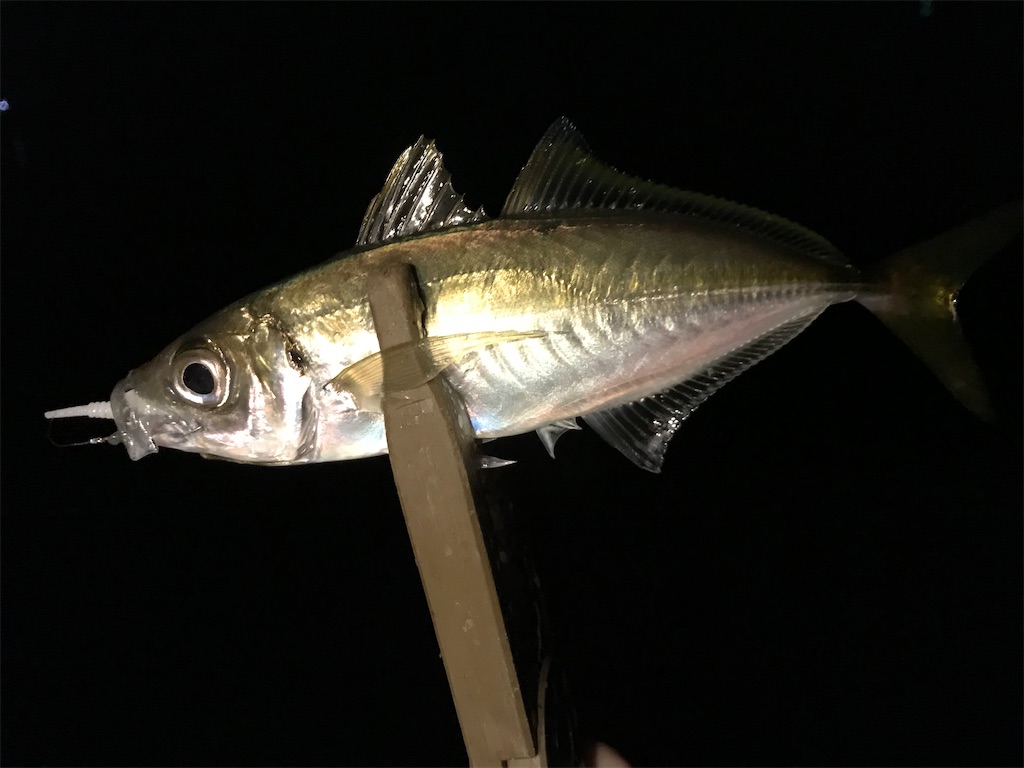 f:id:esojima3:20201116225756j:plain