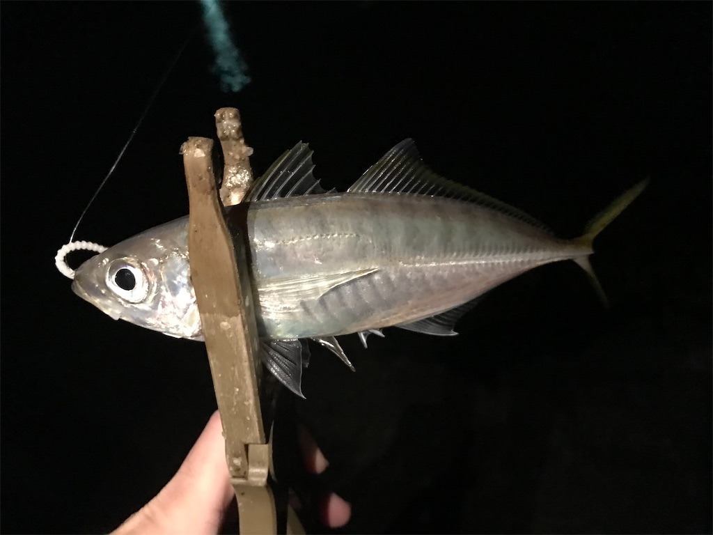 f:id:esojima3:20201201221643j:plain