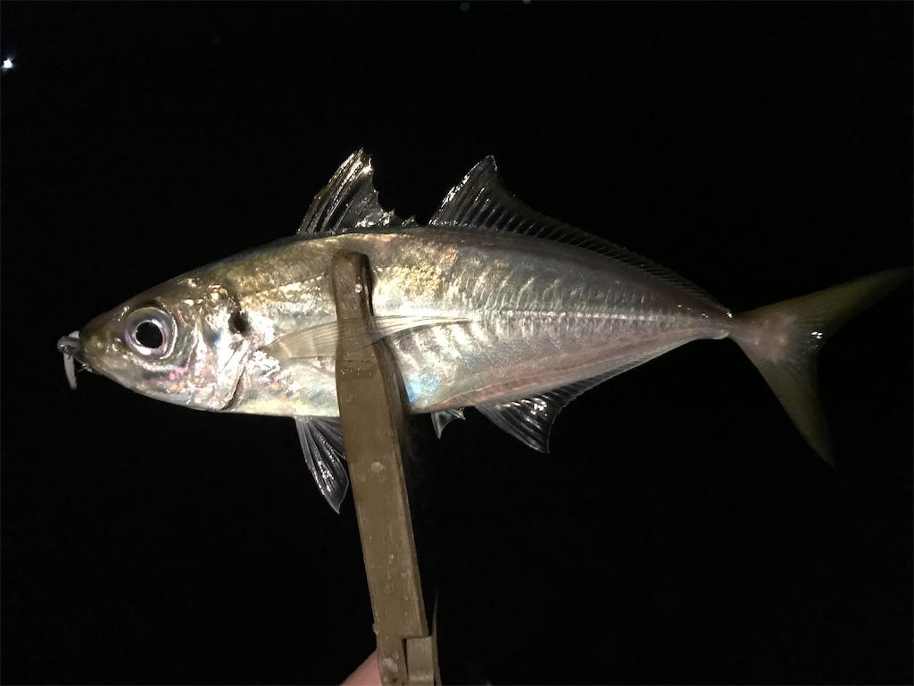 f:id:esojima3:20201201221649j:plain