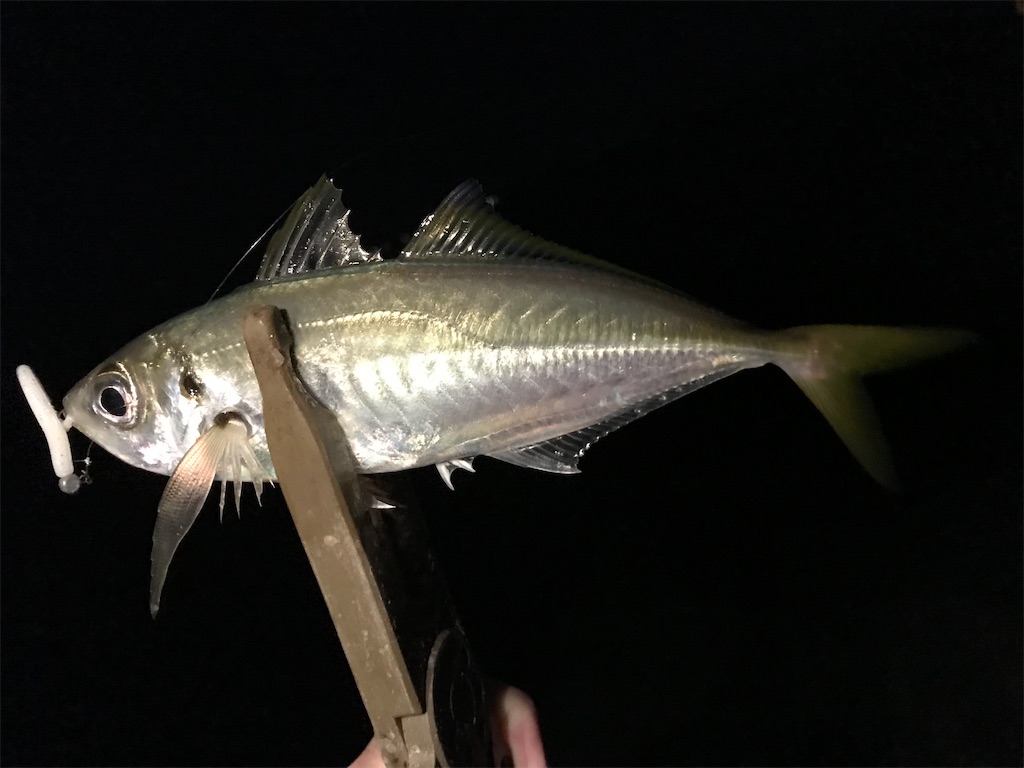 f:id:esojima3:20201202215014j:plain