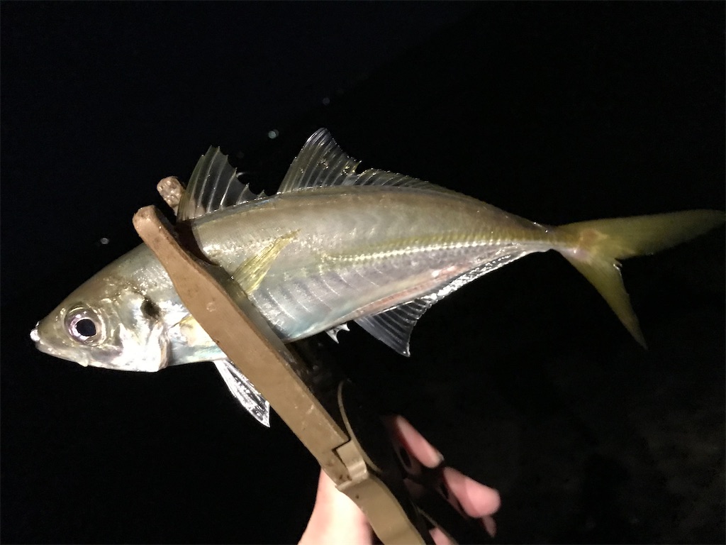 f:id:esojima3:20201202215018j:plain