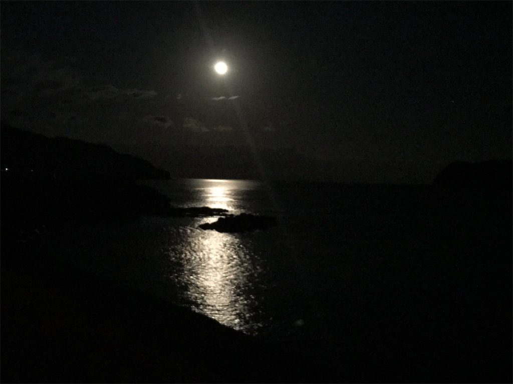 f:id:esojima3:20201205202922j:plain