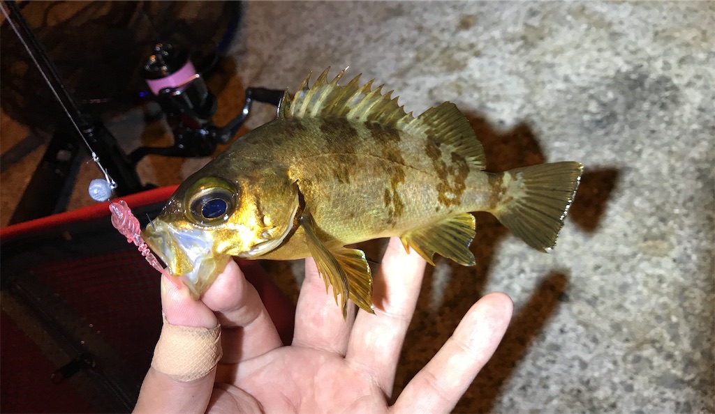f:id:esojima3:20201215184414j:plain