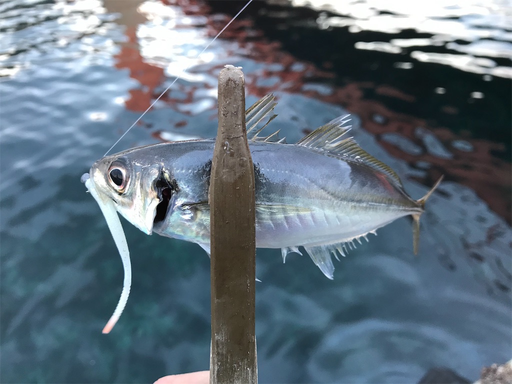 f:id:esojima3:20201215192402j:plain