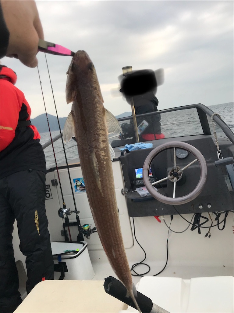 f:id:esojima3:20201216202131j:plain