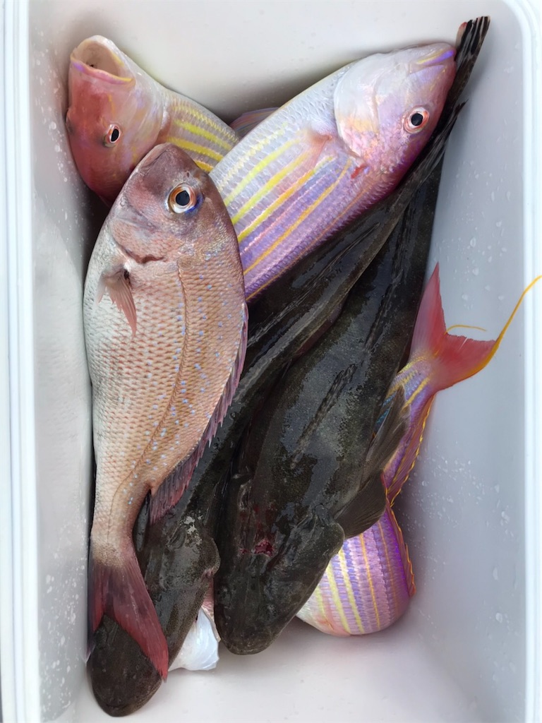 f:id:esojima3:20201217232151j:plain