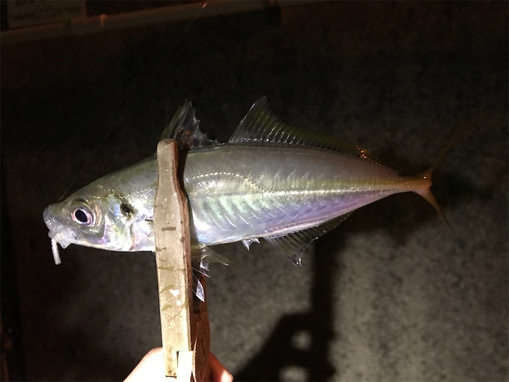 f:id:esojima3:20201217232904j:plain