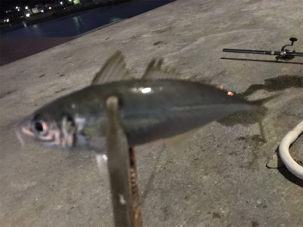 f:id:esojima3:20201217232910j:plain