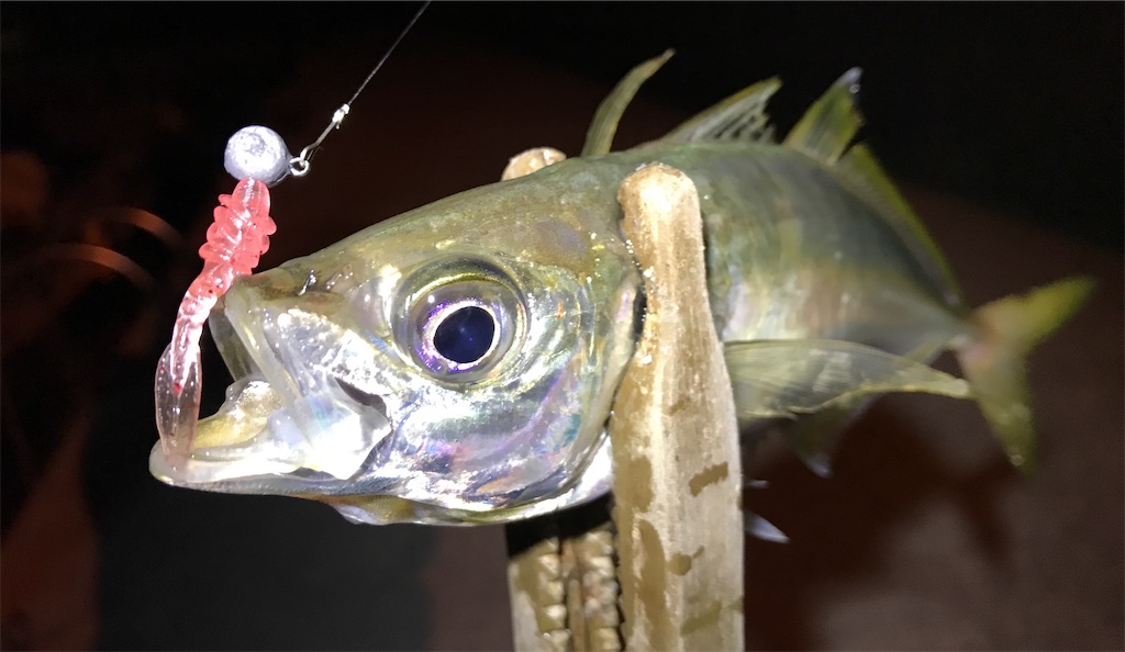 f:id:esojima3:20201217232914j:plain
