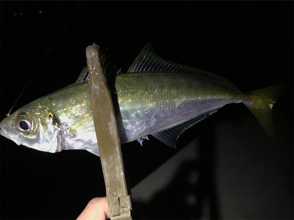 f:id:esojima3:20201220082149j:plain