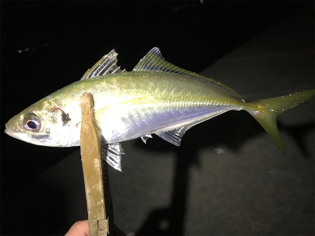 f:id:esojima3:20201220082156j:plain