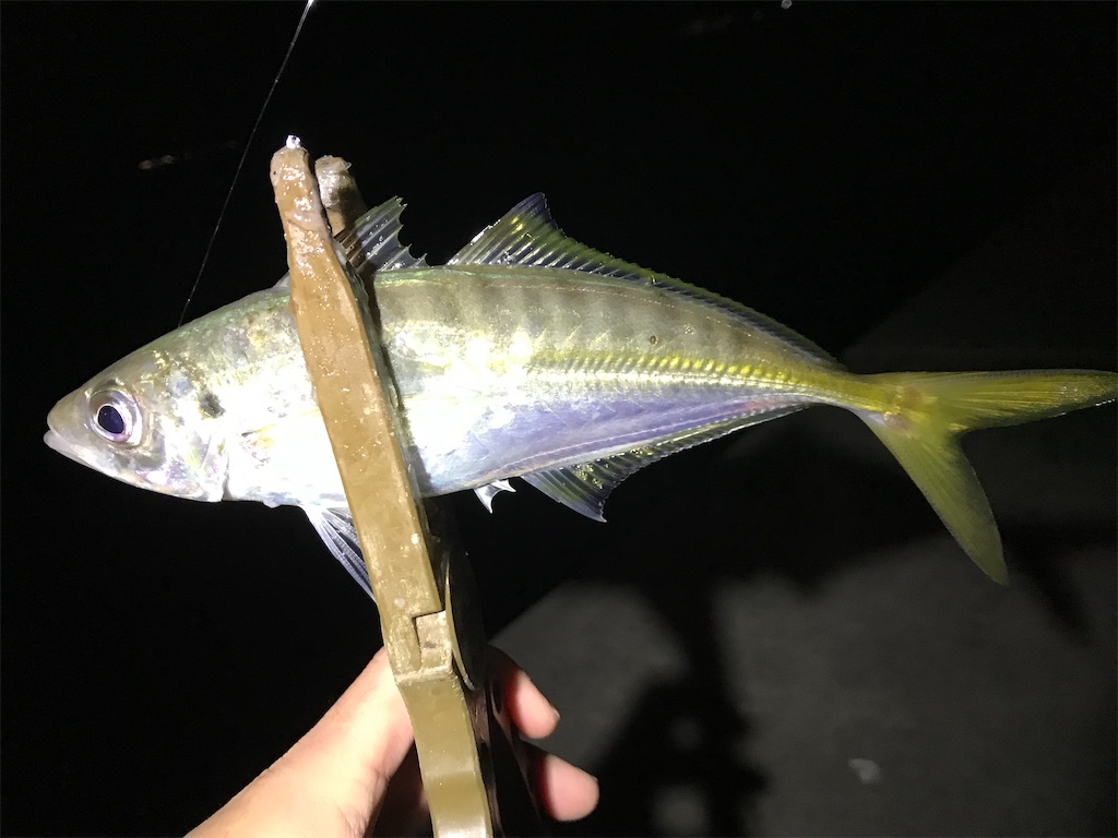 f:id:esojima3:20201220082203j:plain