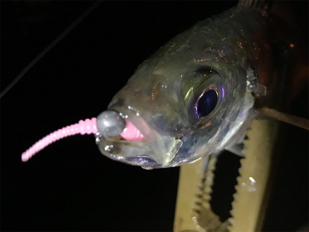 f:id:esojima3:20201220082443j:plain