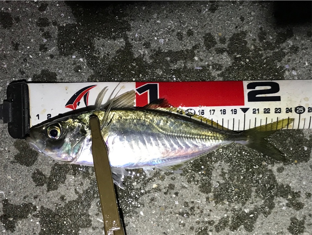f:id:esojima3:20201220082447j:plain