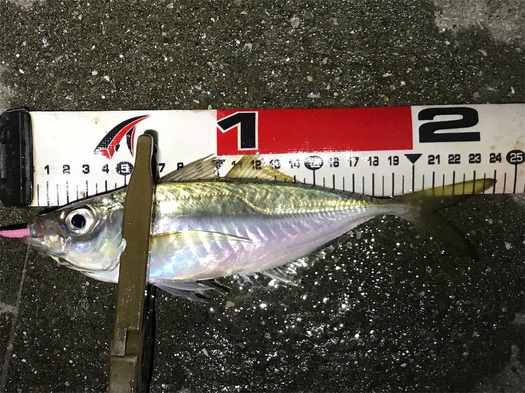 f:id:esojima3:20201220082451j:plain