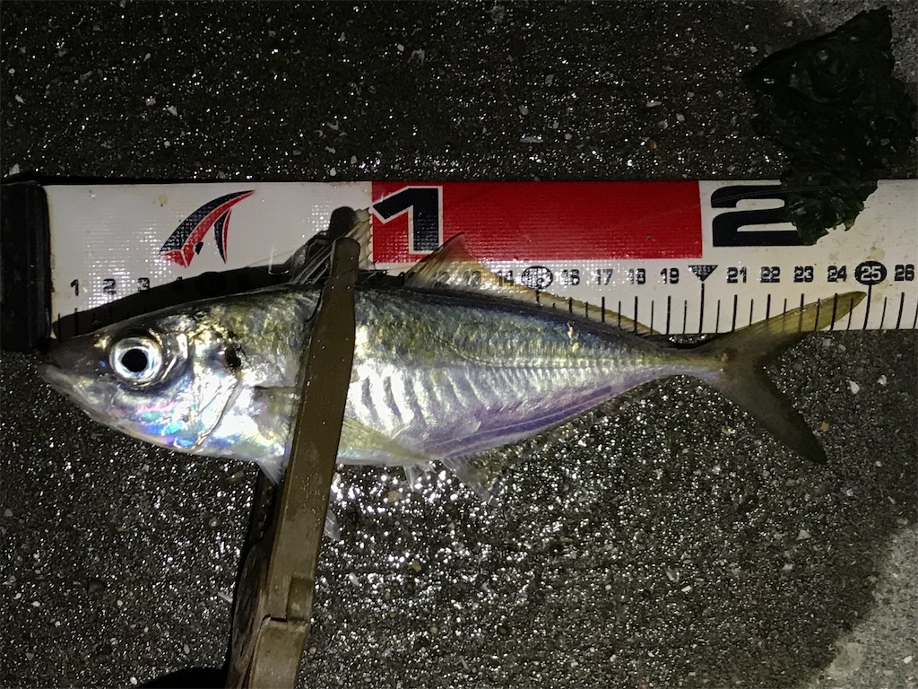 f:id:esojima3:20201220082459j:plain