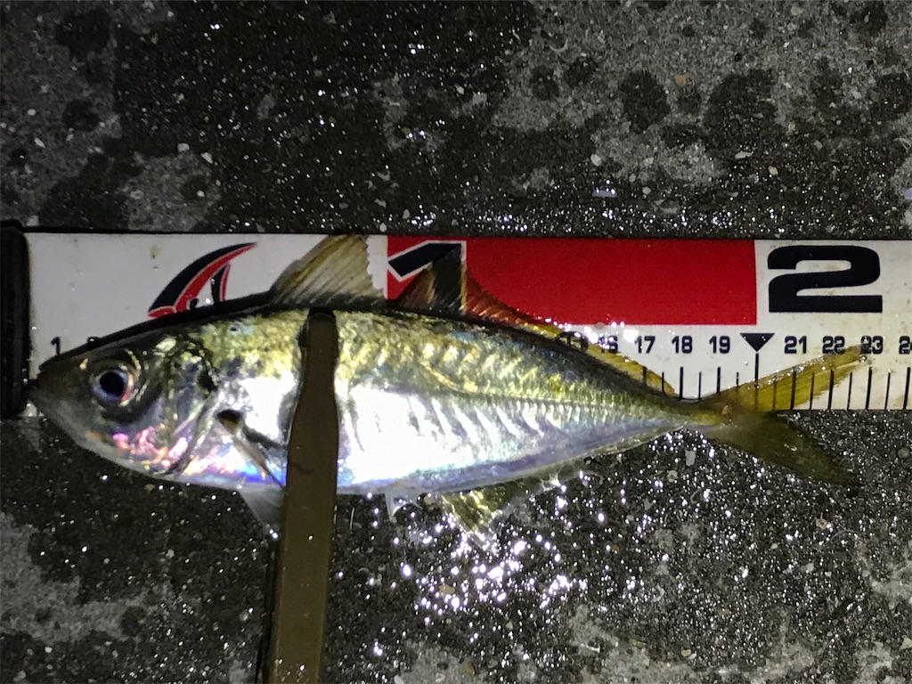 f:id:esojima3:20201220082511j:plain