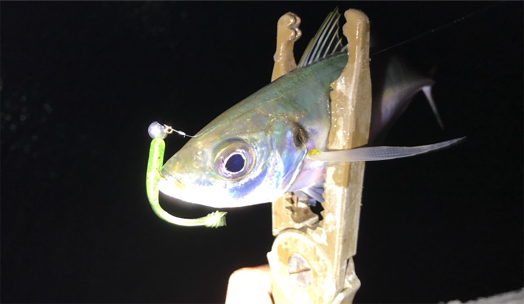 f:id:esojima3:20201222201657j:plain