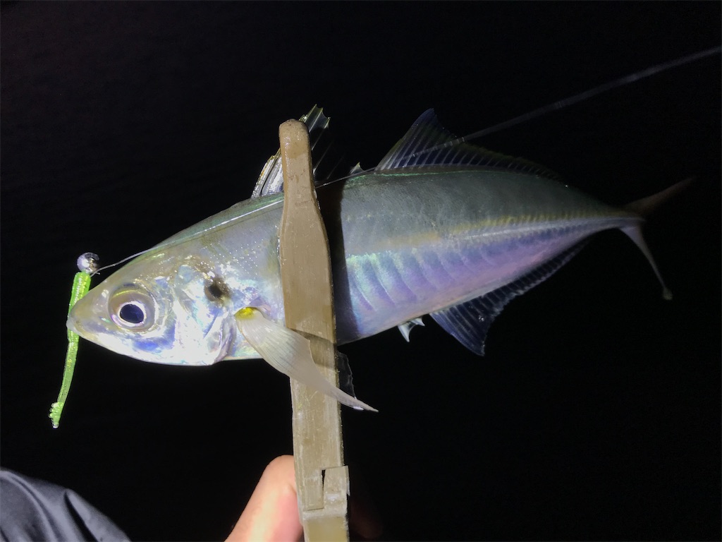 f:id:esojima3:20201222201700j:plain