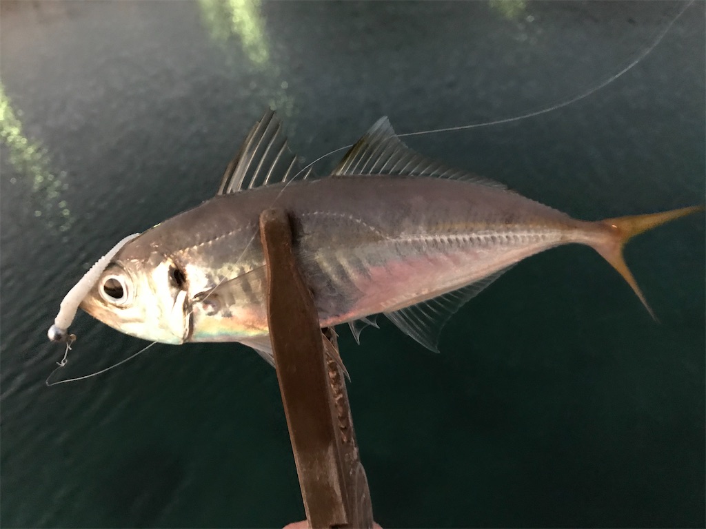 f:id:esojima3:20201222201703j:plain