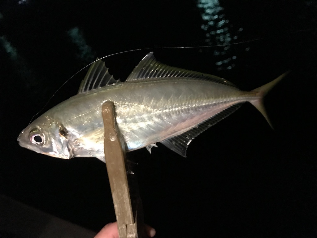 f:id:esojima3:20201222202120j:plain