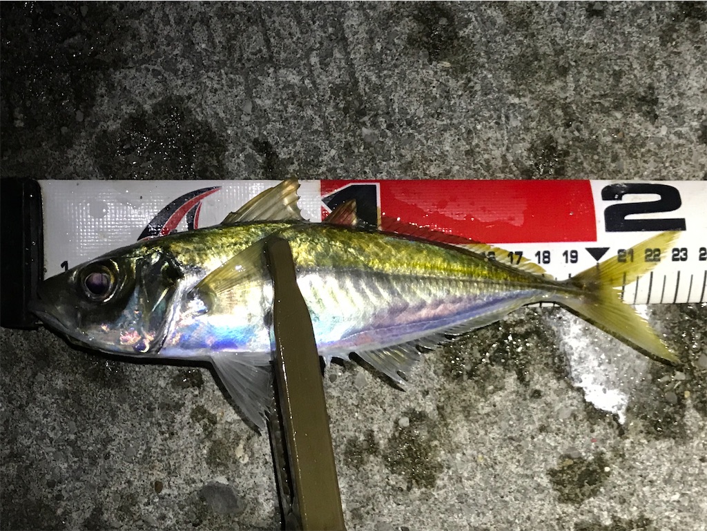 f:id:esojima3:20201224202501j:plain
