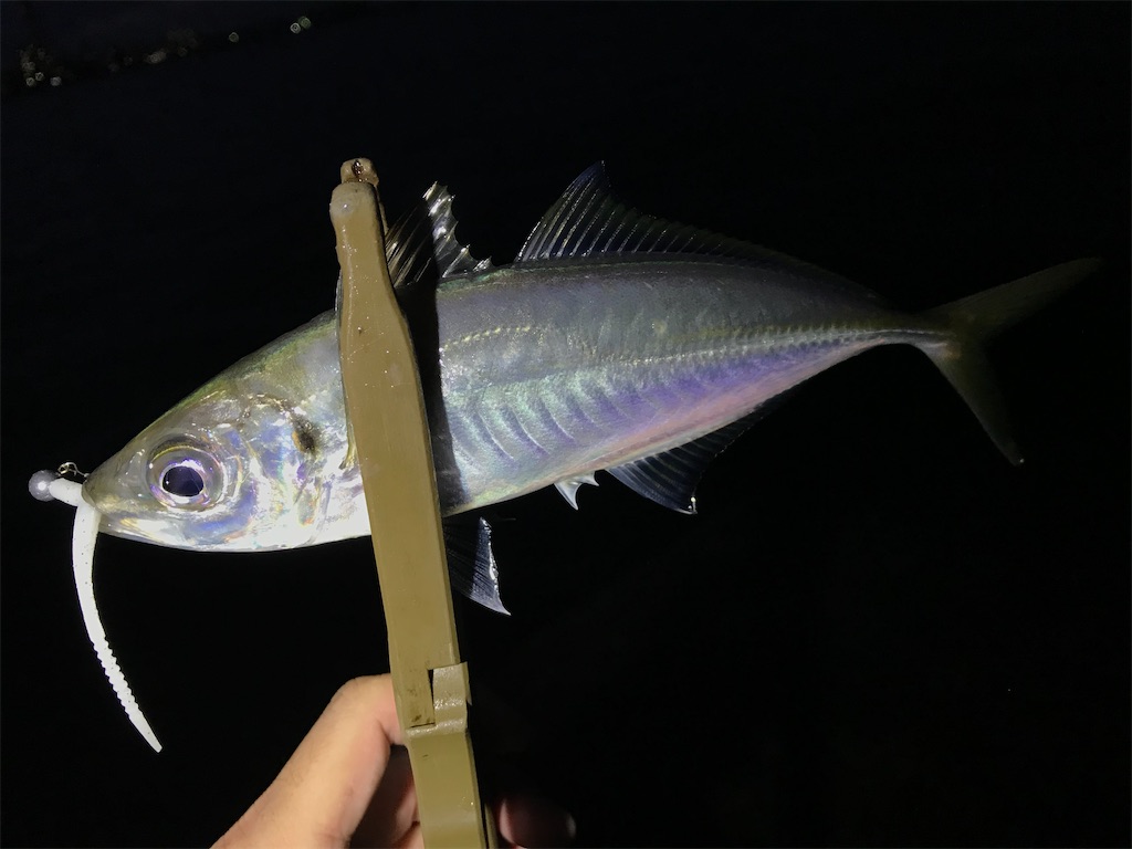 f:id:esojima3:20201226094353j:plain