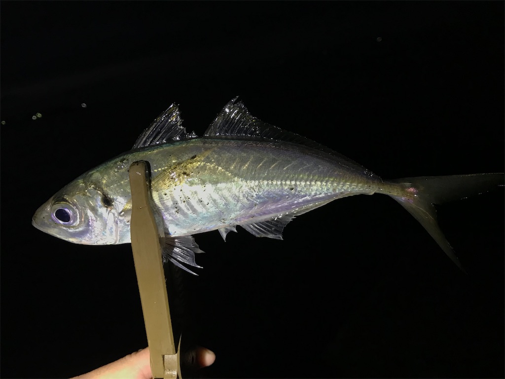 f:id:esojima3:20201226094356j:plain